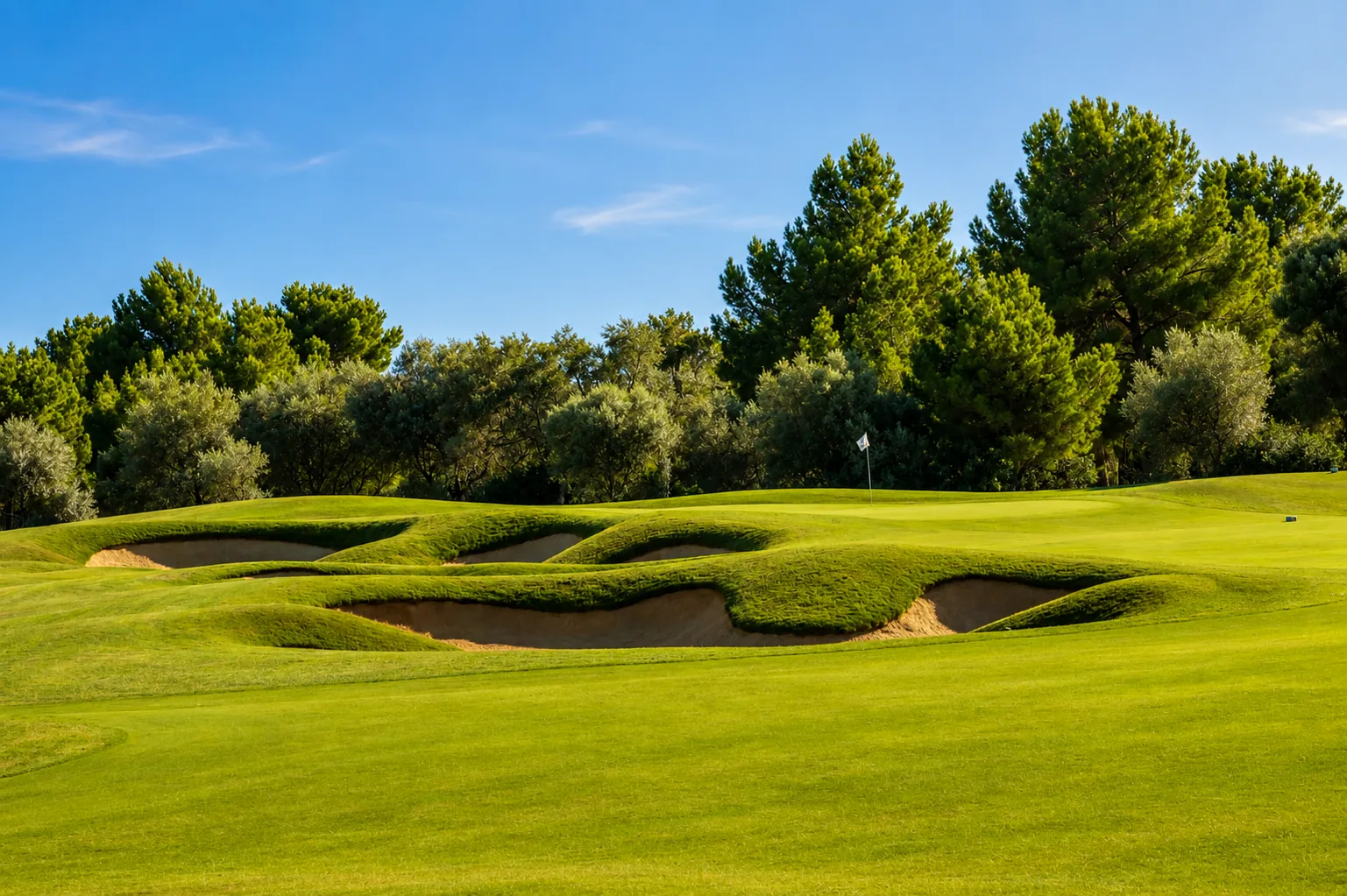 T Golf Palma golf course